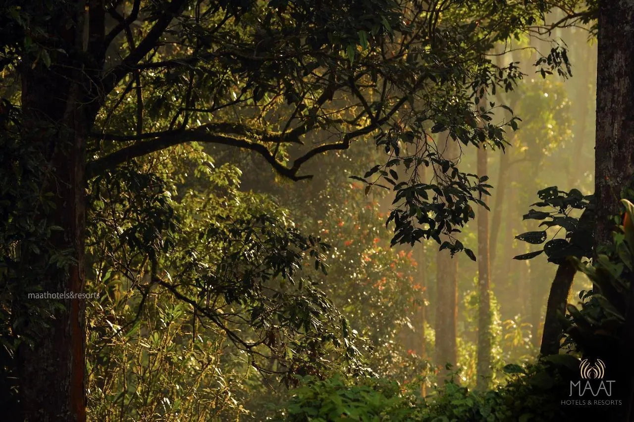 Dew Drops Farm Resorts Munnar