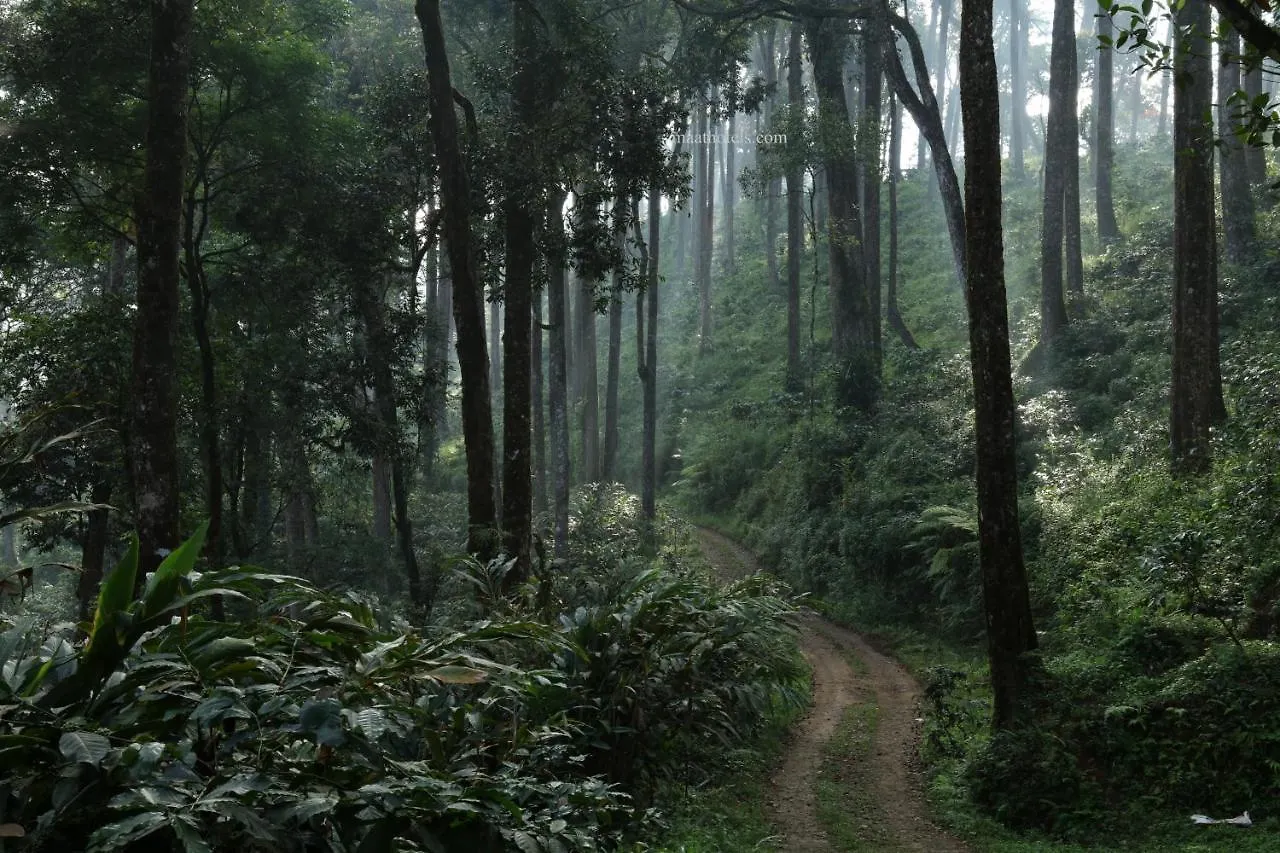 Farm stay Dew Drops Farm Resorts Munnar India