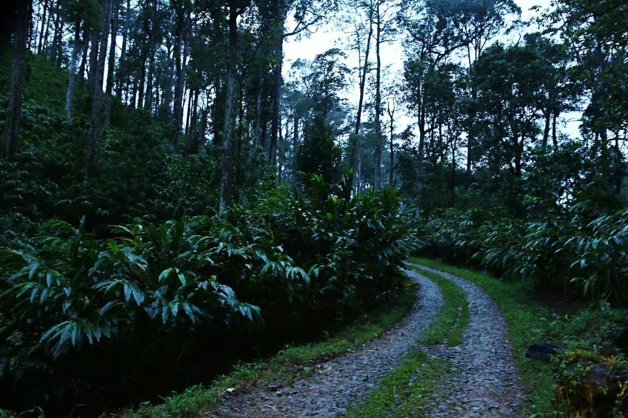 Dew Drops Farm Resorts Munnar Vakantieboerderij