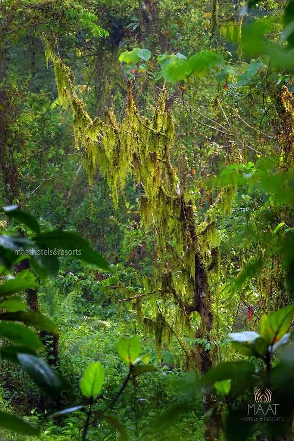 Dew Drops Farm Resorts Munnar 0*,