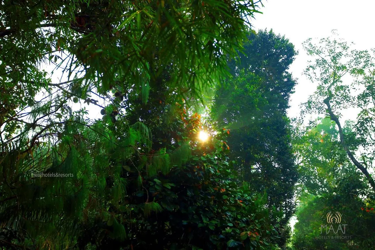 Dew Drops Farm Resorts Munnar