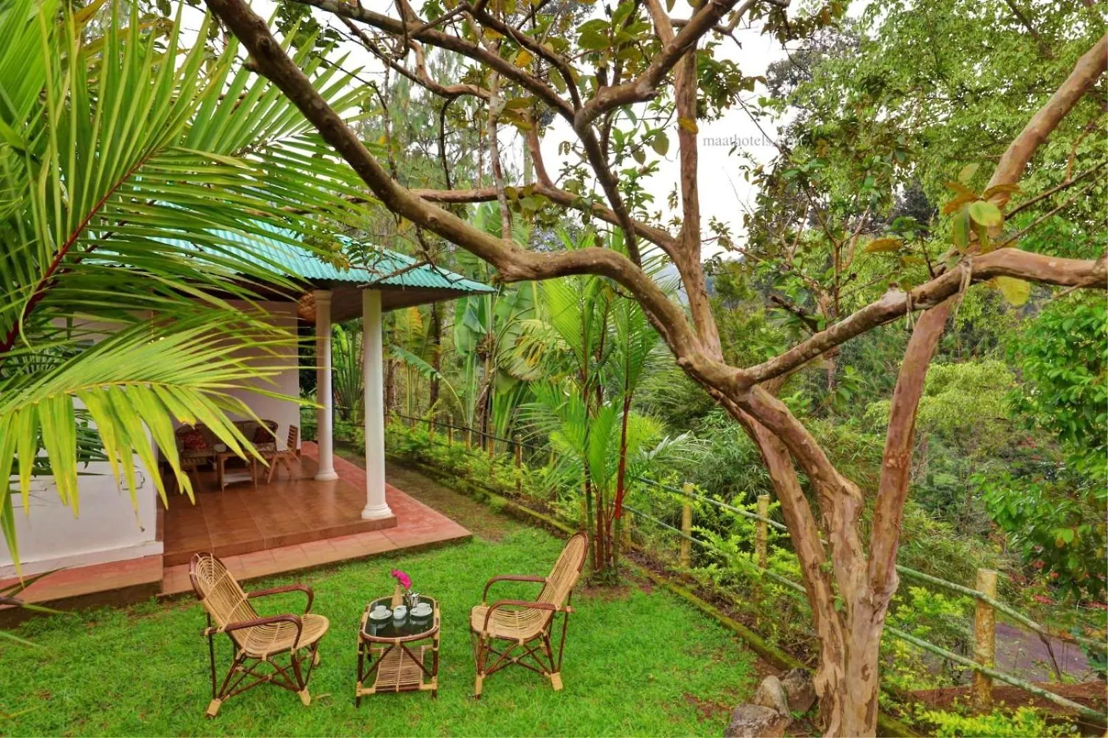 Vakantieboerderij Dew Drops Farm Resorts Munnar